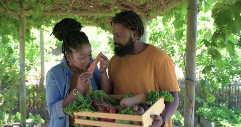 African american couple harvesting and checking fresh garden vegetables under pergola