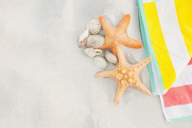 Starfish and seashells arranged with a colorful beach blanket on a sandy beach. Ideal for travel and vacation promotional materials, beach-themed decor, summer holiday advertisements, tourism brochures, and seaside relaxation concepts.