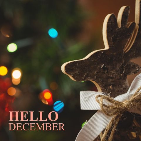 Festive December Greeting with Christmas Reindeer Ornament