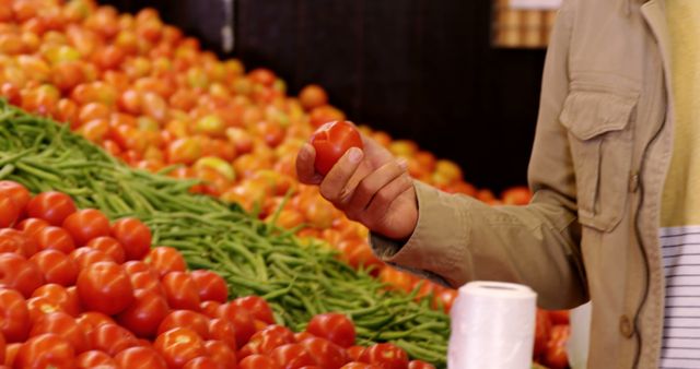 Person Choosing Fresh Tomato at Local Market Stand - Download Free Stock Images Pikwizard.com