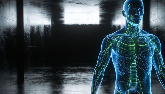 Glowing holographic human anatomy displaying skeletal and nervous systems in dark corridor