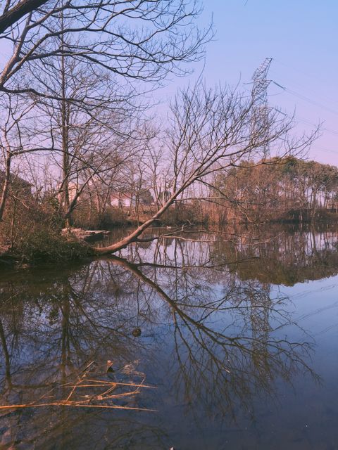 Beautiful calm river with bare trees reflecting on the water surface during early morning. The tranquility of this landscape can be used for backgrounds, nature calendars, and environmental awareness campaigns emphasizing peace and natural beauty.