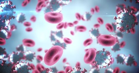 Magnified View of Coronavirus and Red Blood Cells in Vein Flow