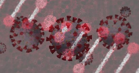 Digital illustration of coronavirus particles