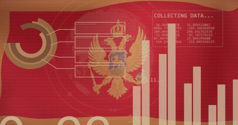 Digital Statistics and Data on Montenegro Flag