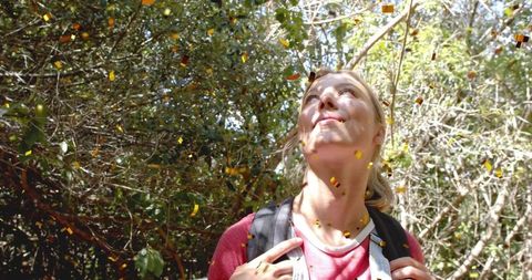 Contemplative hiker looking up through sunlit woodland canopy while gripping backpack