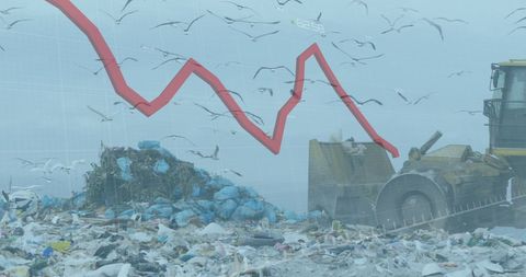 Economic Trends Overlay on Landfill with Birds - Download Free Stock Images Pikwizard.com