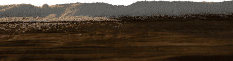 Rustic Wooden Texture with Sand on Transparent Background - Download Free Stock Videos Pikwizard.com