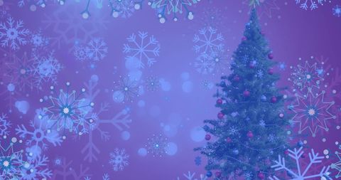 Snowfall over Christmas Tree in Magical Winter Wonderland - Download Free Stock Images Pikwizard.com
