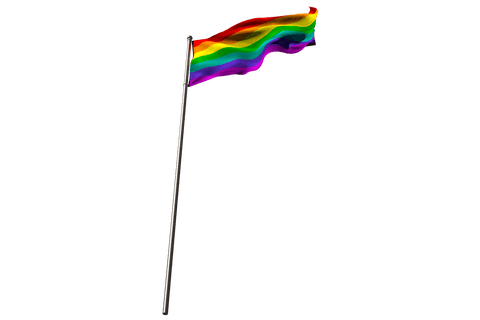 colorful flag of pride waving on transparent background art - Download Free Stock Videos Pikwizard.com