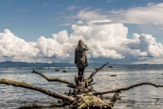 Woman standing on driftwood by a lake with dramatic cloud-filled sky. Ideal for themes of exploration, solitude, and introspection, suitable for travel blogs, nature magazines, and social media posts highlighting natural beauty or adventure.
