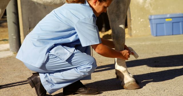 Veterinarian dressed in light blue uniform carefully bandaging white horse's injured leg outdoors. Useful for content related to veterinary services, animal healthcare, equine injury treatment, and outdoor pet care.