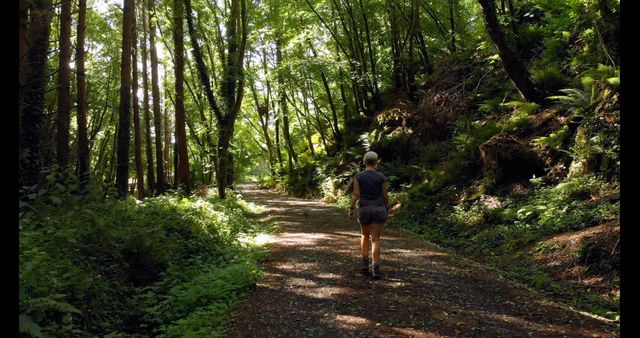 Individual walking on a sunlit forest trail surrounded by lush vegetation and tall trees, perfect for projects related to nature, outdoor activities, adventure blogs, or health and fitness promotions.
