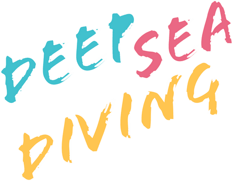 Colorful brush-stroke typography on transparent background