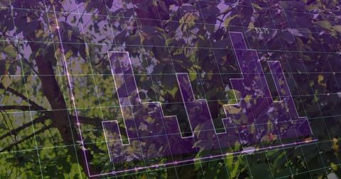 Visualizing purple overlay with step bar across forest canopy for environmental analytics