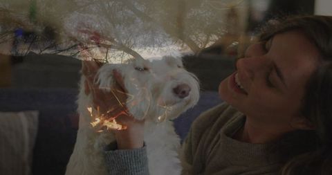 Woman affectionately caressing fluffy dog at home