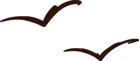 Simplistic bird silhouettes illustration on transparent background