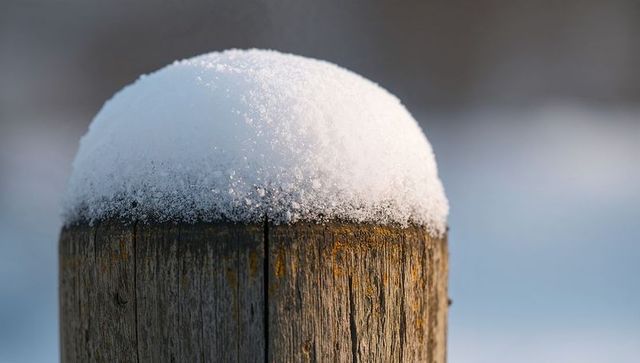 Weathered wooden post carrying rounded snow dome and golden lichen in quiet winter field