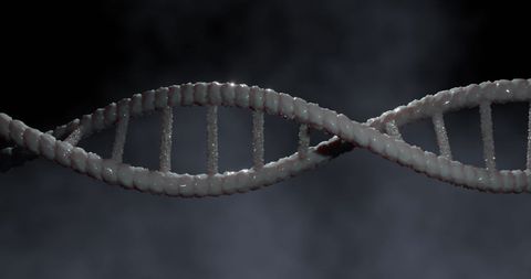 Close-up of Human DNA Strand on Dark Background - Download Free Stock Images Pikwizard.com