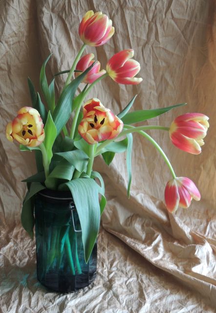 Vibrant tulips with red and yellow gradients are delicately placed in a black vase against a brown crinkled fabric background. Plants arranged elegantly in vase create a simple yet beautiful floral display. Useful for home decor ideas, interior design projects, or art pieces. Perfect for adding a touch of spring and nature to visual projects or for promoting floral products and arrangements.