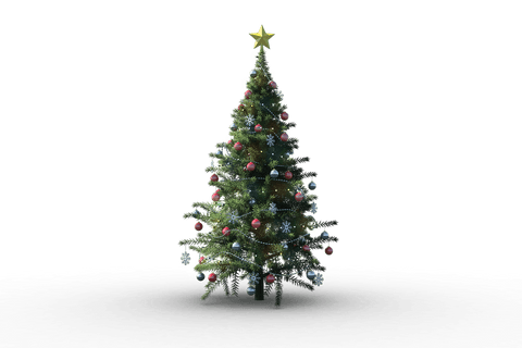 Decorated Christmas Tree with Star on Transparent Background - Download Free Stock Videos Pikwizard.com