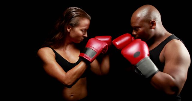 Male and Female Boxers Sparring in Dark Background - Download Free Stock Images Pikwizard.com