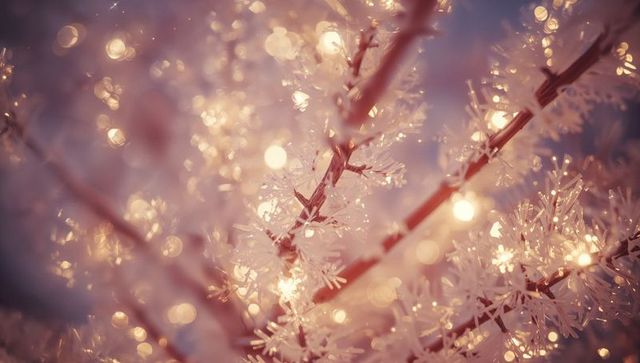 Glowing Frost Crystals on Evergreen Christmas Branch