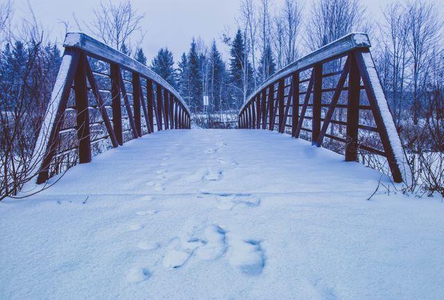 Footprints on Snowy Bridge Amidst Winter Forest - Download Free Stock Photos Pikwizard.com