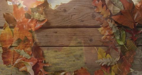 Autumn Oak and Maple Leaves on Rustic Wooden Surface