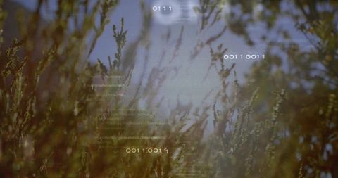 Nature and technology harmony with binary code overlay