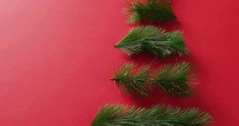Christmas Tree Branches on Red Background with Copy Space
