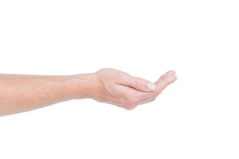 caucasian woman's hand reaching out on transparent background - Download Free Stock Videos Pikwizard.com