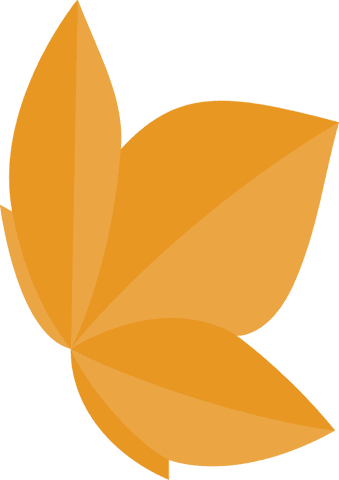 Abstract Orange Petals on Transparent Background