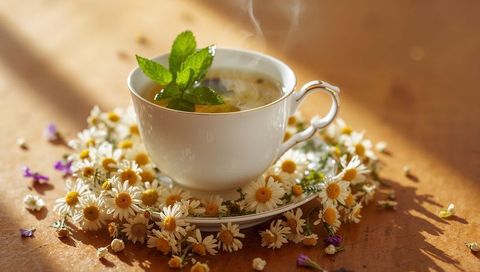 Steaming porcelain teacup with chamomile daisies and fresh mint on sunlit wooden table