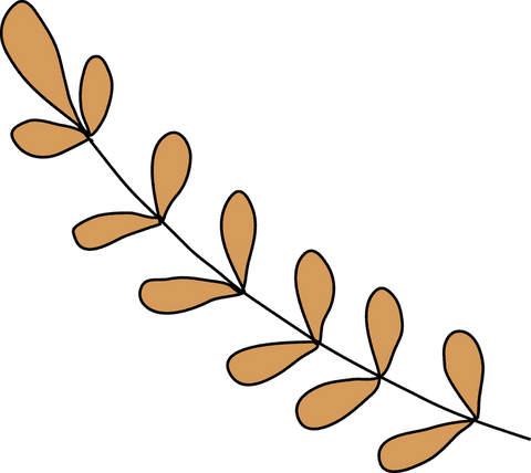 minimalist botanical stem with teardrop leaves on transparent background - Download Free Stock Videos Pikwizard.com
