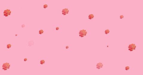 Elegant Scattered Roses on Pastel Pink Background - Download Free Stock Images Pikwizard.com