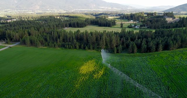 Aerial view showcasing systematic irrigation on a lush green countryside farm, bordered by a dense forest with scenic mountains in the background. Perfect for illustrating themes of agriculture, efficient farming, rural life, and sustainable land management. Great for agricultural publications, environmental websites, and promotional material for farming equipment or rural tourism.
