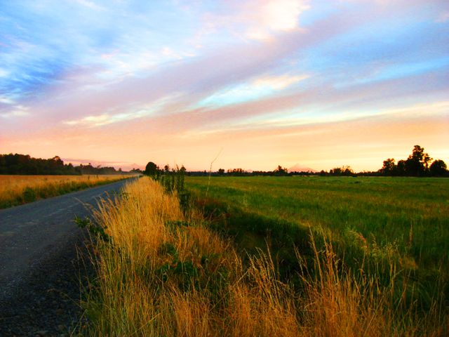 Peaceful Countryside Road at Sunset with Colorful Sky - Download Free Stock Photos Pikwizard.com