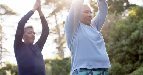 Senior Couple Practicing Yoga Outdoors in Nature