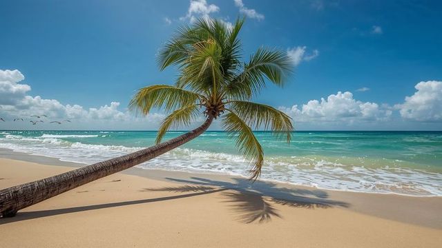 Swaying Palm Tree on Pristine Tropical Beach with Turquoise Waves and Birds
