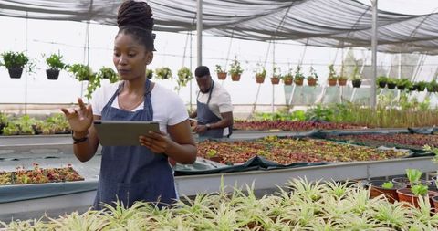 Coworkers Using Technology to Monitor Greenhouse Seedlings