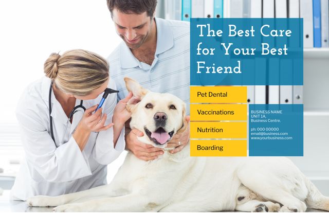 Veterinarian Examines Happy Dog Promoting Trusted Pet Care Services - Download Free Stock Templates Pikwizard.com