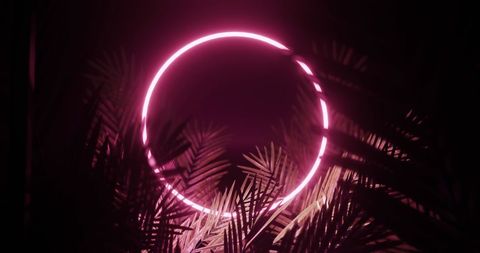 Futuristic neon circle illuminating tropical leaves