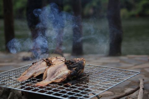 Smoked Whole Fish Grilling Over Charcoal Grill with Rising Smoke by River