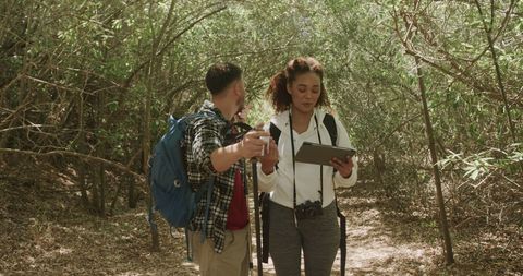 Happy Couple Hiking and Using Tablet in Sunny Forest