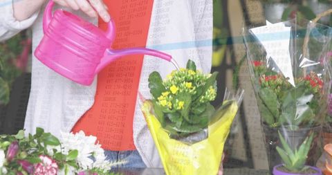 Woman watering yellow potted flowers with pink watering can at colorful florist stall