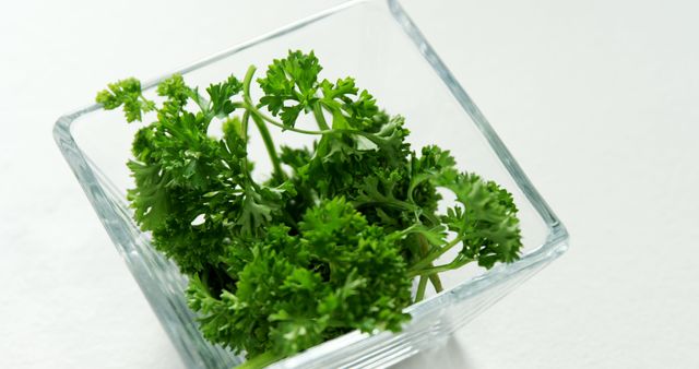 Fresh Green Parsley in a Glass Container - Download Free Stock Images Pikwizard.com