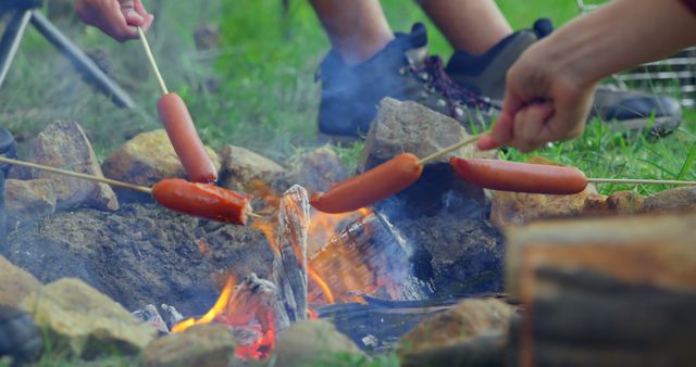 Group of Friends Roasting Hot Dogs over Campfire in Nature - Download Free Stock Images Pikwizard.com