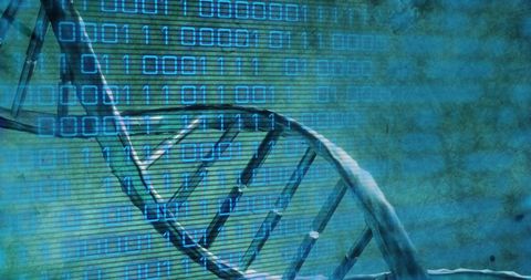 DNA Double Helix Rotating Over Digital Binary Code Backdrop - Download Free Stock Images Pikwizard.com