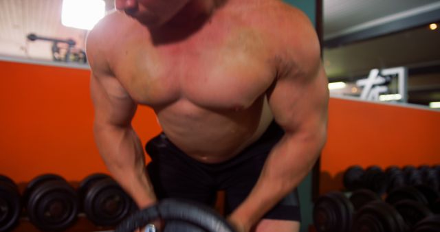 Bodybuilder Lifting Dumbbells in Gym During Workout - Download Free Stock Images Pikwizard.com